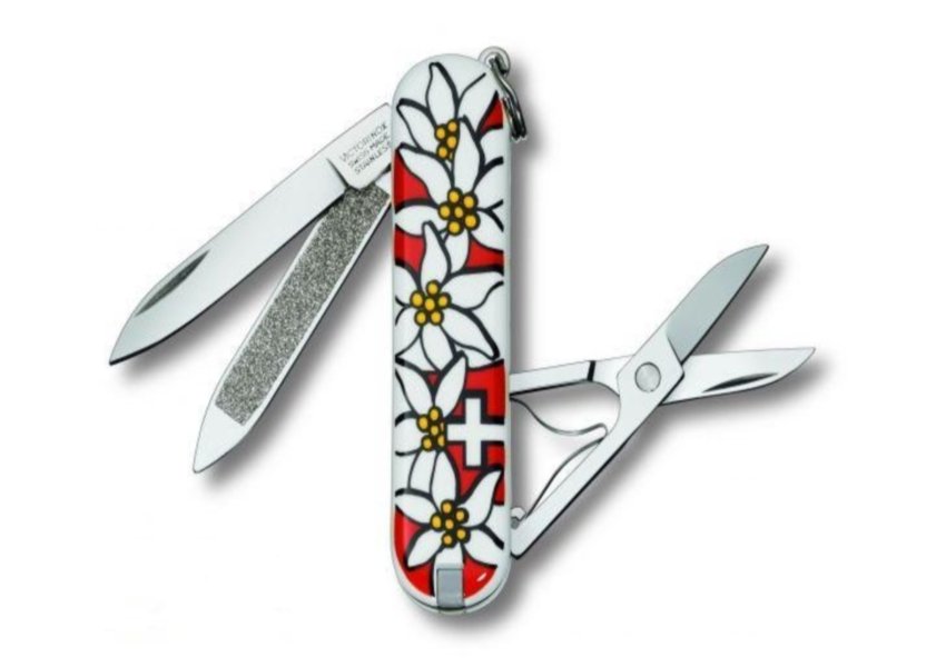 Купити Нож Victorinox Classic Edelweiss (Vx0.6203.84)
