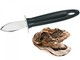Купити Нож для устриц WESTMARK (W66152270)