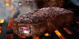 Steak-champ-grill-thermometer_normal
