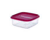 Konteyner-rival-18x18x7-sm-1-l-easy-rival391100_small