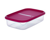 Konteyner-rival-easy-28-5x19x7-sm-2-l-rival391000_small