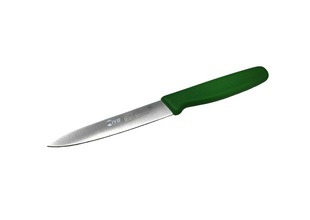 Купити Нож для чистки IVO Every Day 11 см зеленый (25022.11.05)